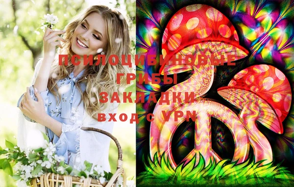 ECSTASY Алексин