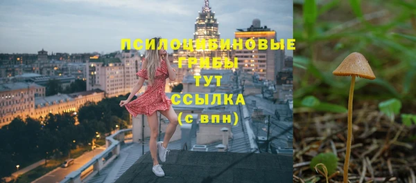 гидропоника Алексеевка