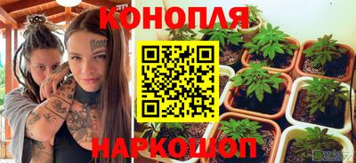 мяу мяу мука Рязань