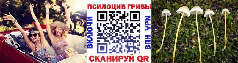 Псилоцибиновые грибы мухоморы Чапаевск