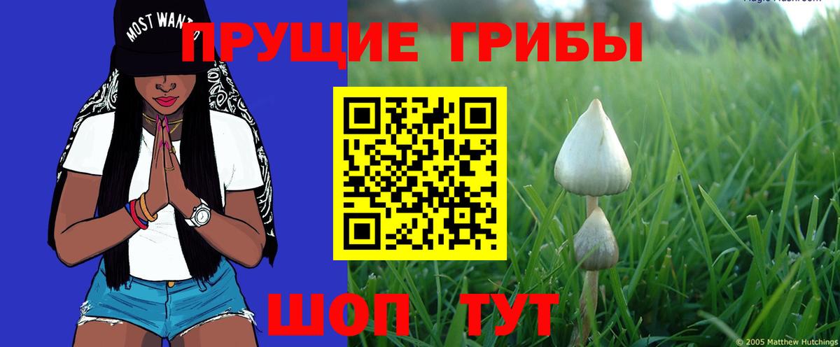 Чапаевск  купить наркоту  Вход с VPN  Галлюциногенные грибы GOLDEN TEACHER 